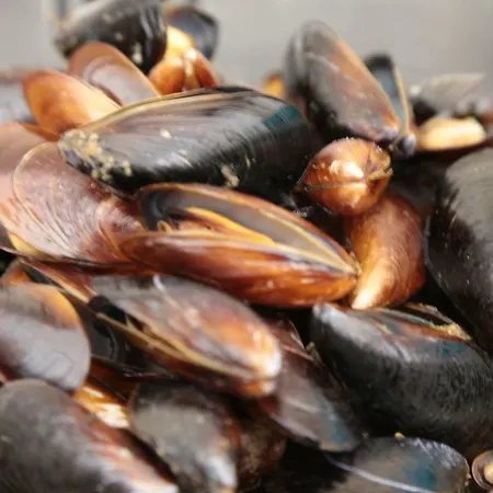 Апарт-отель Морски Бряг Свети-Влас