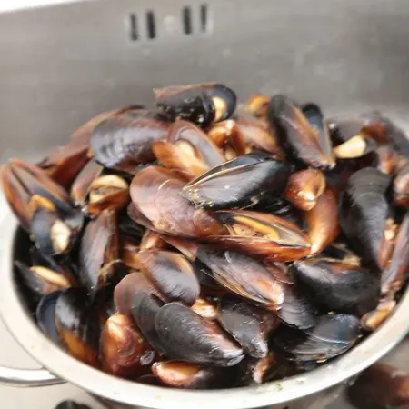 Апарт-отель Морски Бряг